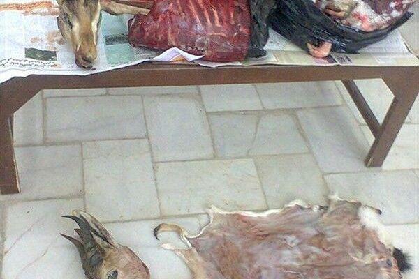 خبرنگاران کشف 10 لاشه آهو از مخفیگاه شکارچی متحلف در شهرستان خبرنگاران کشف 10 لاشه آهو از مخفیگاه شکارچی متحلف در شهرستان انار