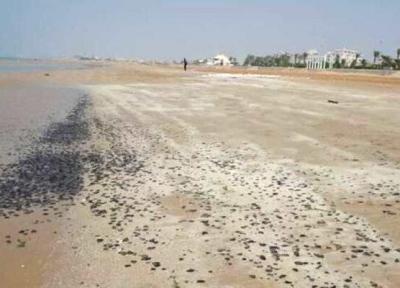 ساحل گناوه باز هم به لکه های نفتی آلوده شد