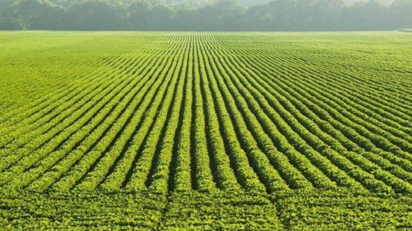 افزایش 7 هزار هکتاری اراضی کشاورزی در چهارمحال و بختیاری