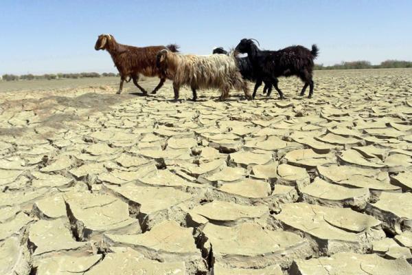5 استان کشور در خطر خشکسالی