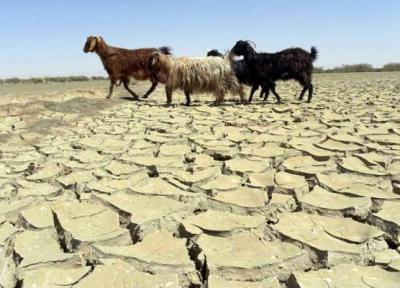 5 استان کشور در خطر خشکسالی