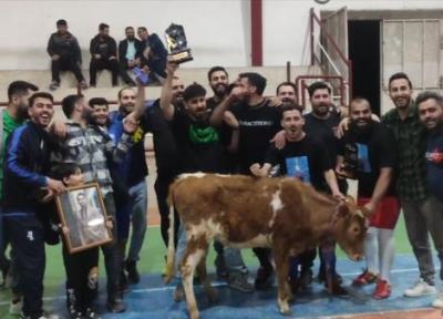 تصاویر عجیب ؛ اولین واکنش به اهدای گاو زنده به قهرمان جام فوتسال رمضان ، حرکات گاو در سالن سرپوشیده را ببینید