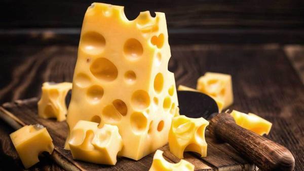 پنیر چیست؟ سفری به قلب شیر از رازهای باستانی تا فواید