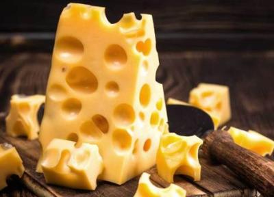 پنیر چیست؟ سفری به قلب شیر از رازهای باستانی تا فواید